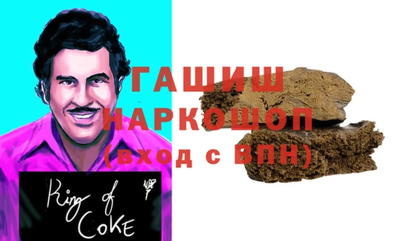 гашик Алексин