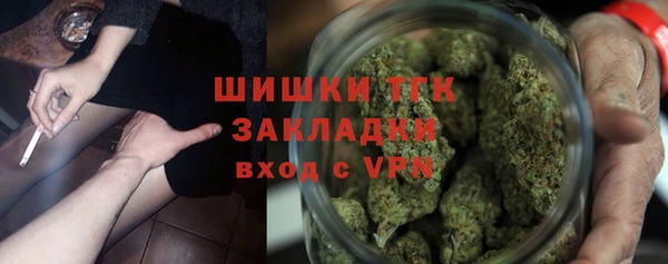 гашик Алексин