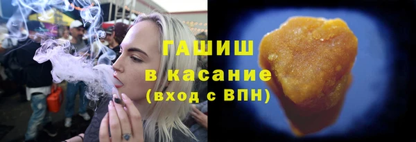 гашик Алексин