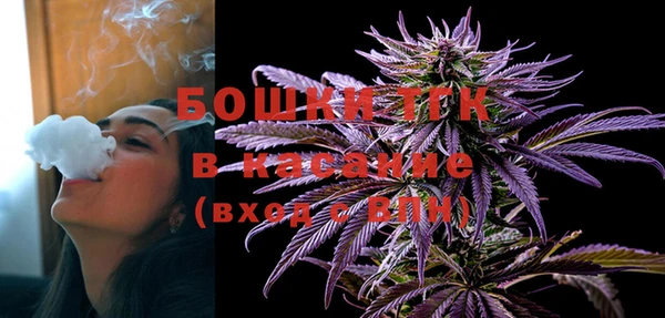 гашик Алексин