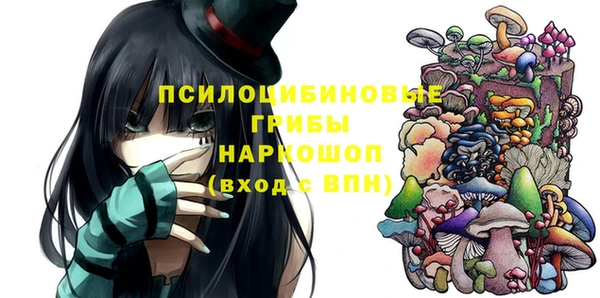 гашик Алексин
