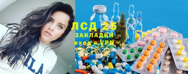 гашик Алексин