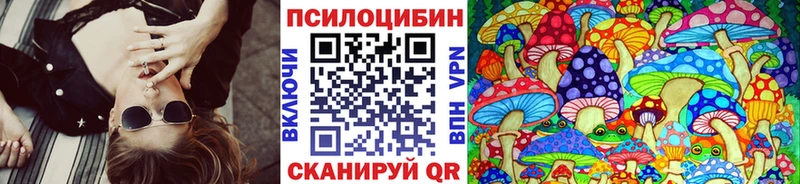 купить закладку Кирс Галлюциногенные грибы Psilocybe